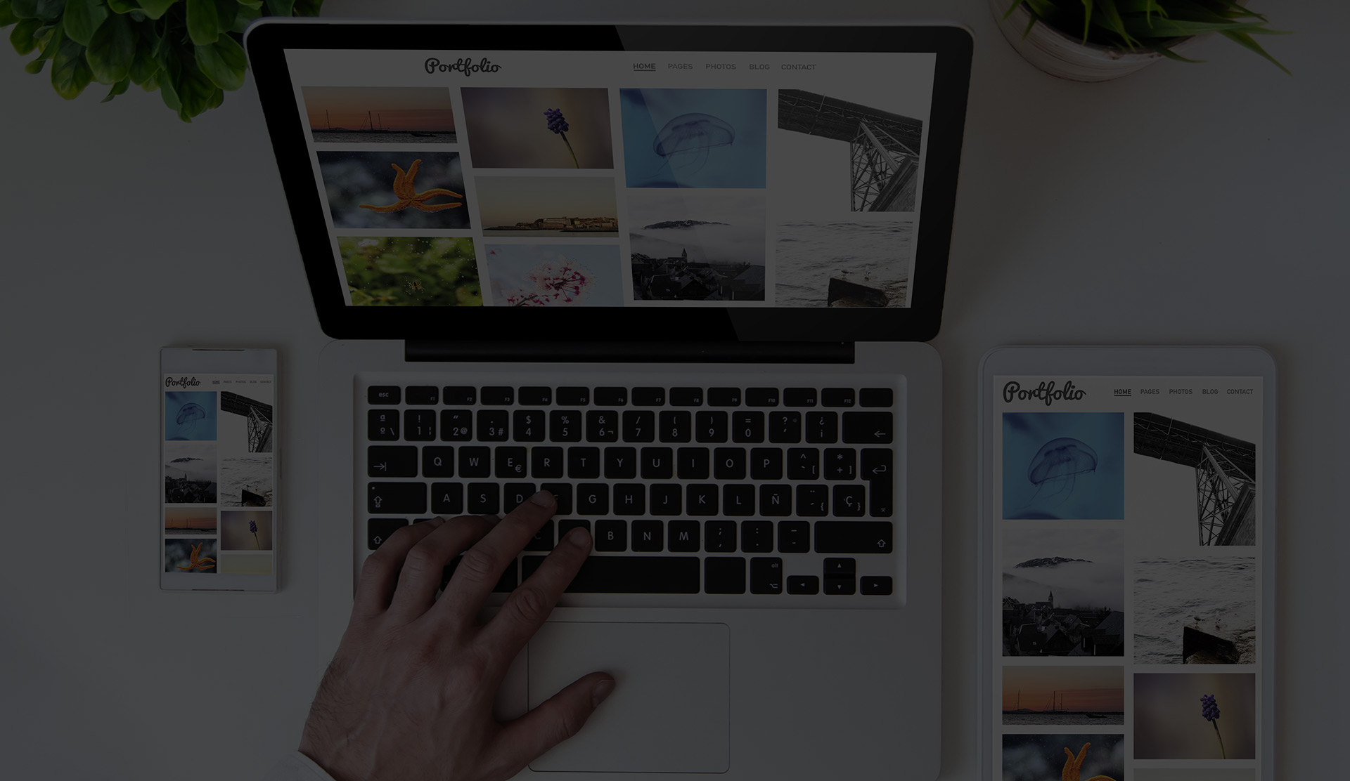Professional WordPress Development Company in Dubai