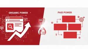 Paid & Organic Power