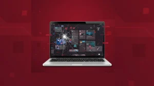 Common Web Design Flaws